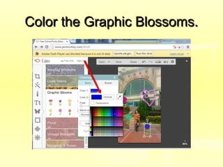 Color the Graphic Blossoms.Color the Graphic Blossoms.
 