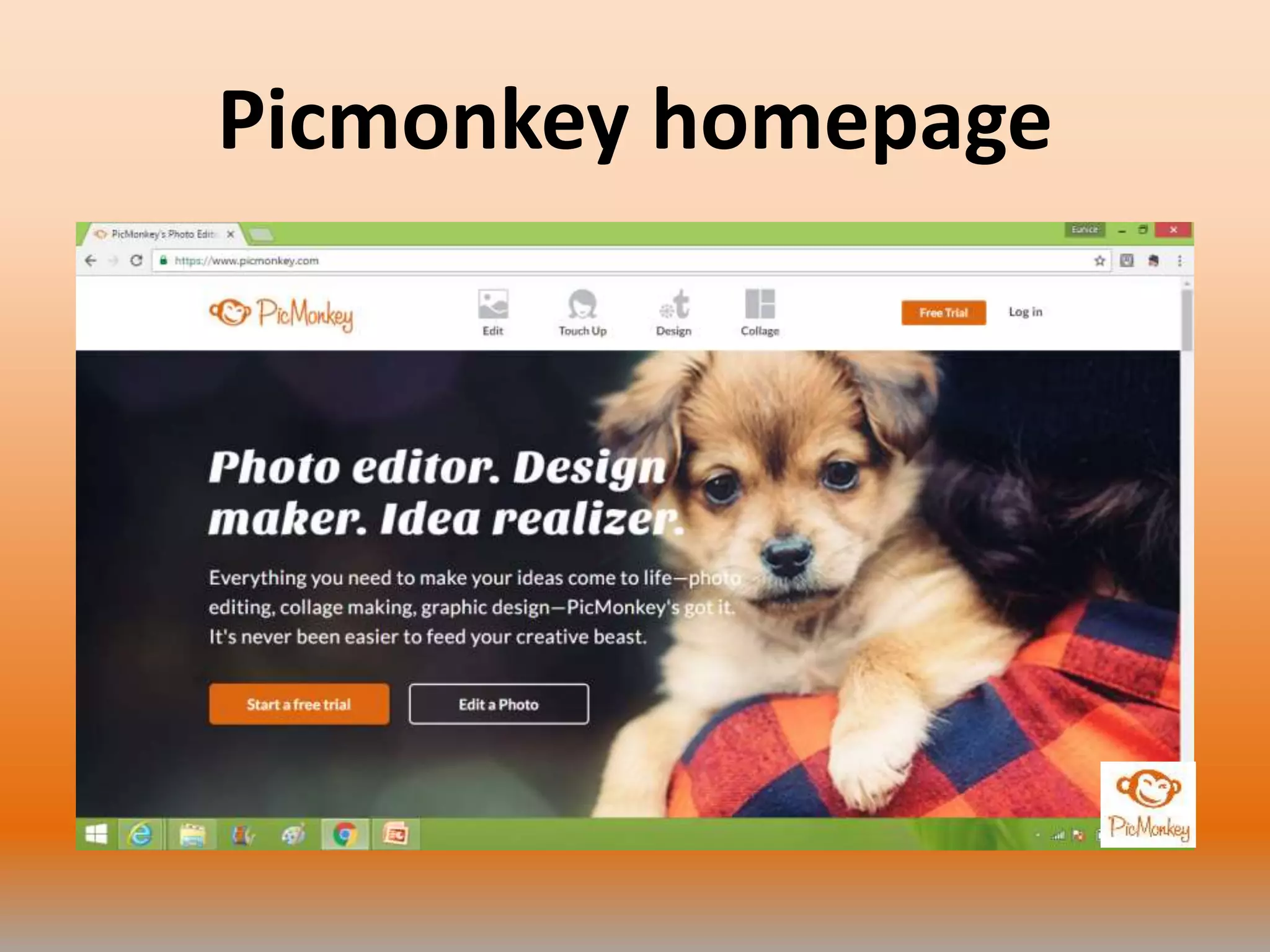 Picmonkey homepage
 
