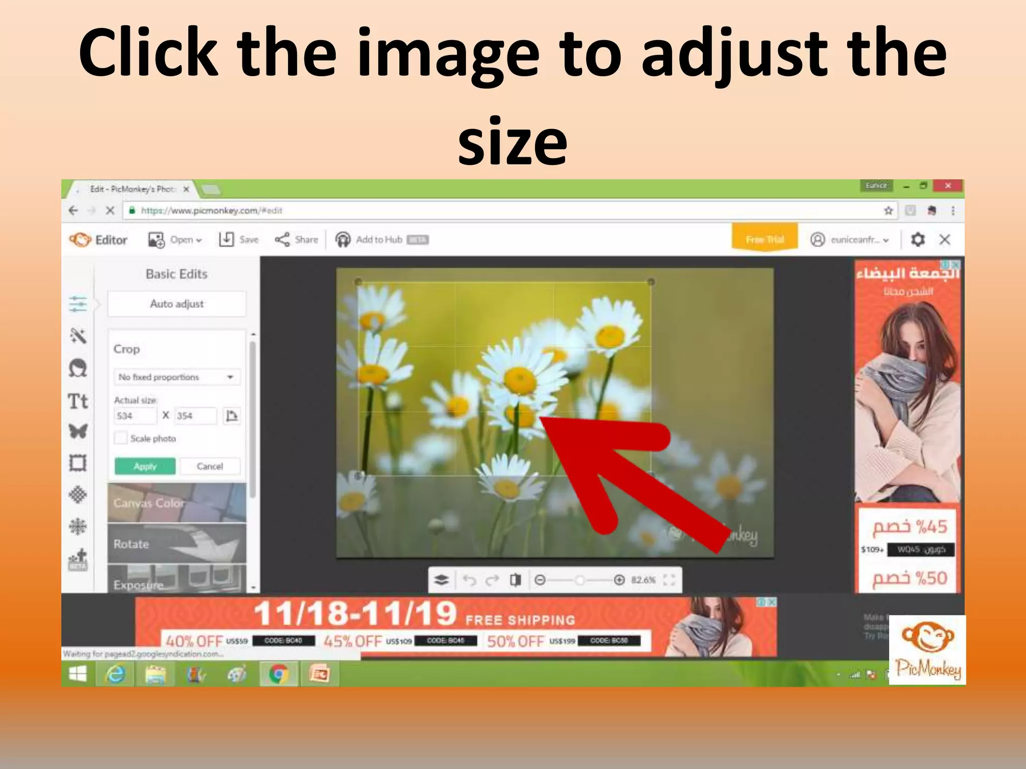 Click the image to adjust the
size
 