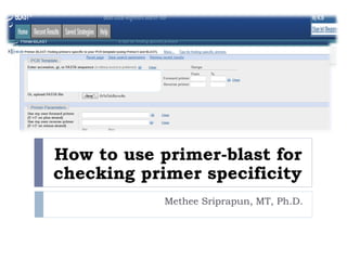 How to use primer-blast for checking primer specificity 
Methee Sriprapun, MT, Ph.D.  