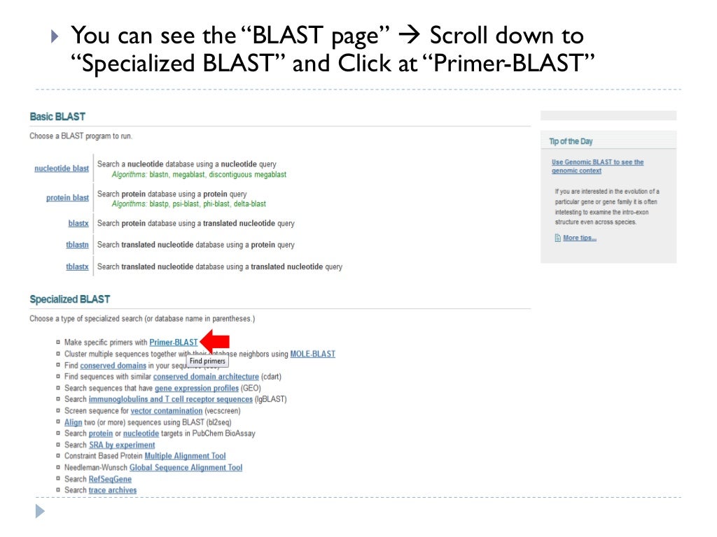 How to use primer blast for checking primer specificity