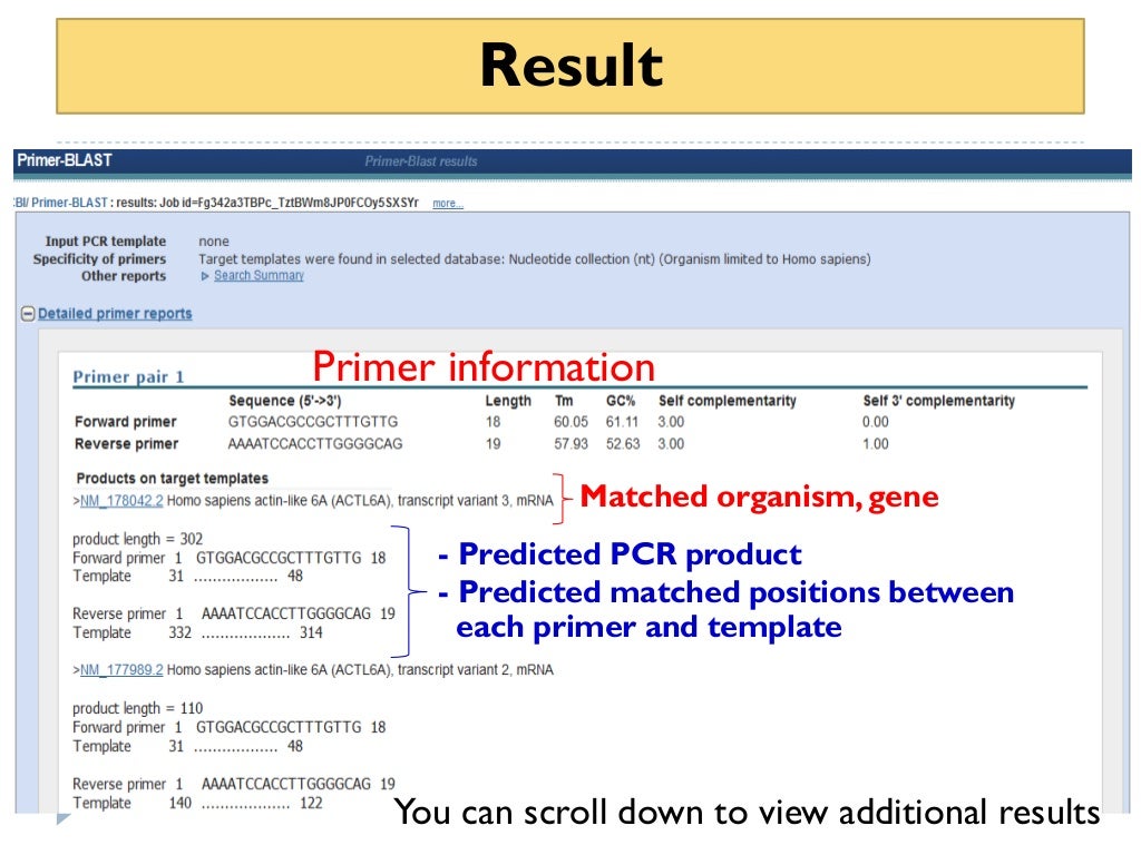 How to use primer blast for checking primer specificity