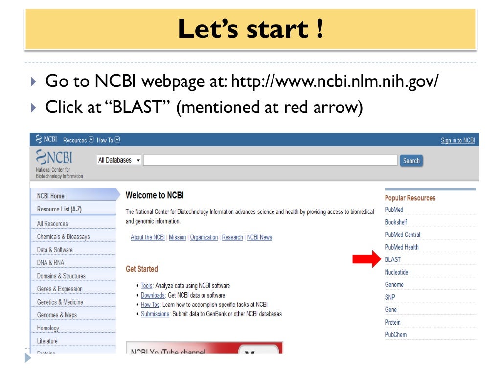 How to use primer blast for checking primer specificity