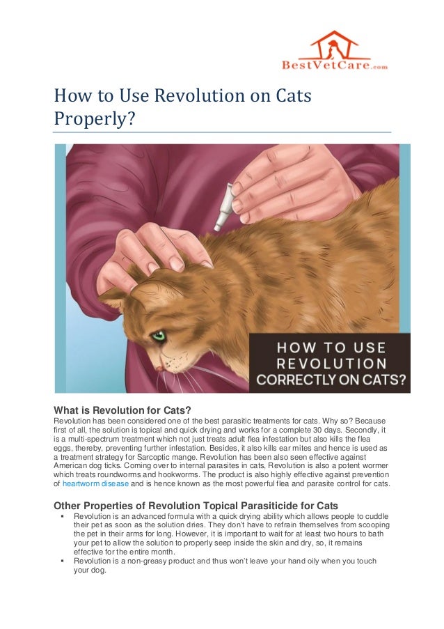 how-to-use-revolution-on-cats-properly
