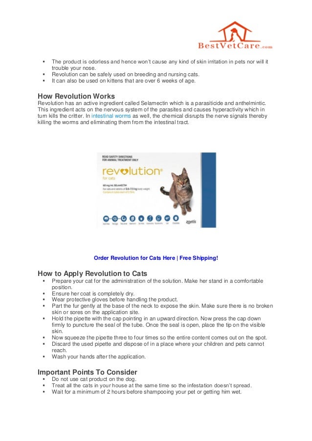 How to Use Revolution on Cats Properly?