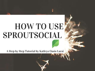 Step by Step Tutorial on Sprout Social