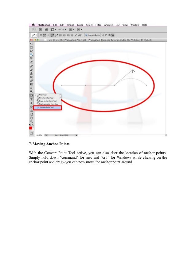 How to Use the Pen Tool Beginner