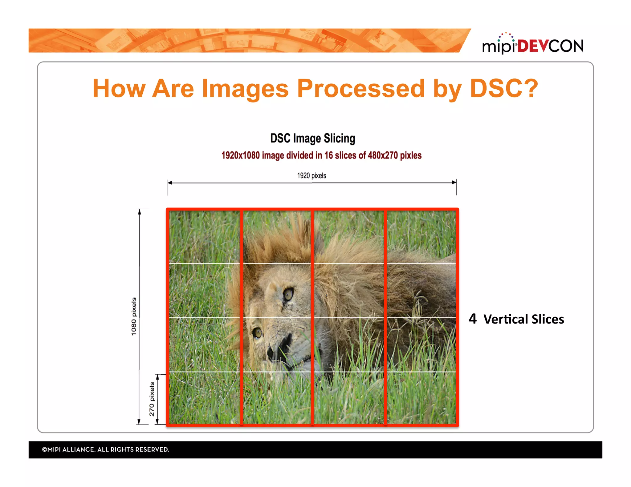 How Are Images Processed by DSC?
1		VerYcal	Slice	2		VerYcal	Slices	4		VerYcal	Slices	
 