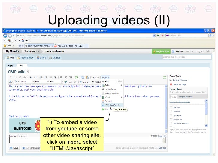 How To Use The Wiki Site