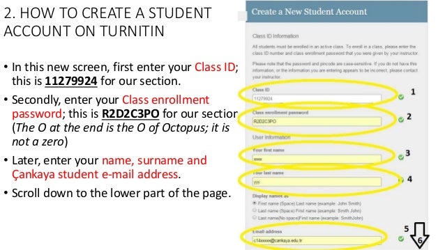 how to use turnitin