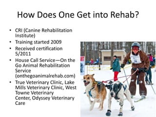 How Does One Get into Rehab?
• CRI (Canine Rehabilitation
Institute)
• Training started 2009
• Received certification
5/2011
• House Call Service—On the
Go Animal Rehabilitation
Service
(onthegoanimalrehab.com)
• True Veterinary Clinic, Lake
Mills Veterinary Clinic, West
Towne Veterinary
Center, Odyssey Veterinary
Care

 