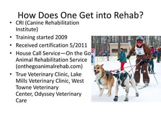 How Does One Get into Rehab?

• CRI (Canine Rehabilitation
Institute)
• Training started 2009
• Received certification 5/2011
• House Call Service—On the Go
Animal Rehabilitation Service
(onthegoanimalrehab.com)
• True Veterinary Clinic, Lake
Mills Veterinary Clinic, West
Towne Veterinary
Center, Odyssey Veterinary
Care

 
