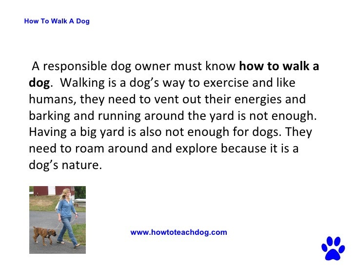 How to walk a dog How to Walk Your Dog on A Loose Leash