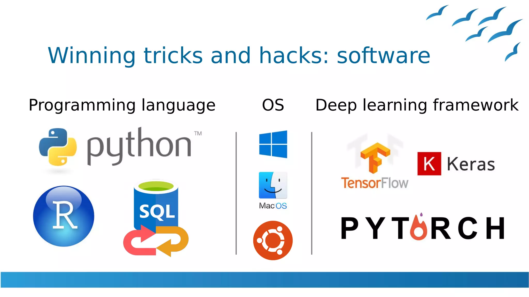 Winning tricks and hacks: software
Programming language OS Deep learning framework
 
