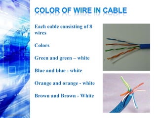 Order color in rjOrder of colors inside the RJ