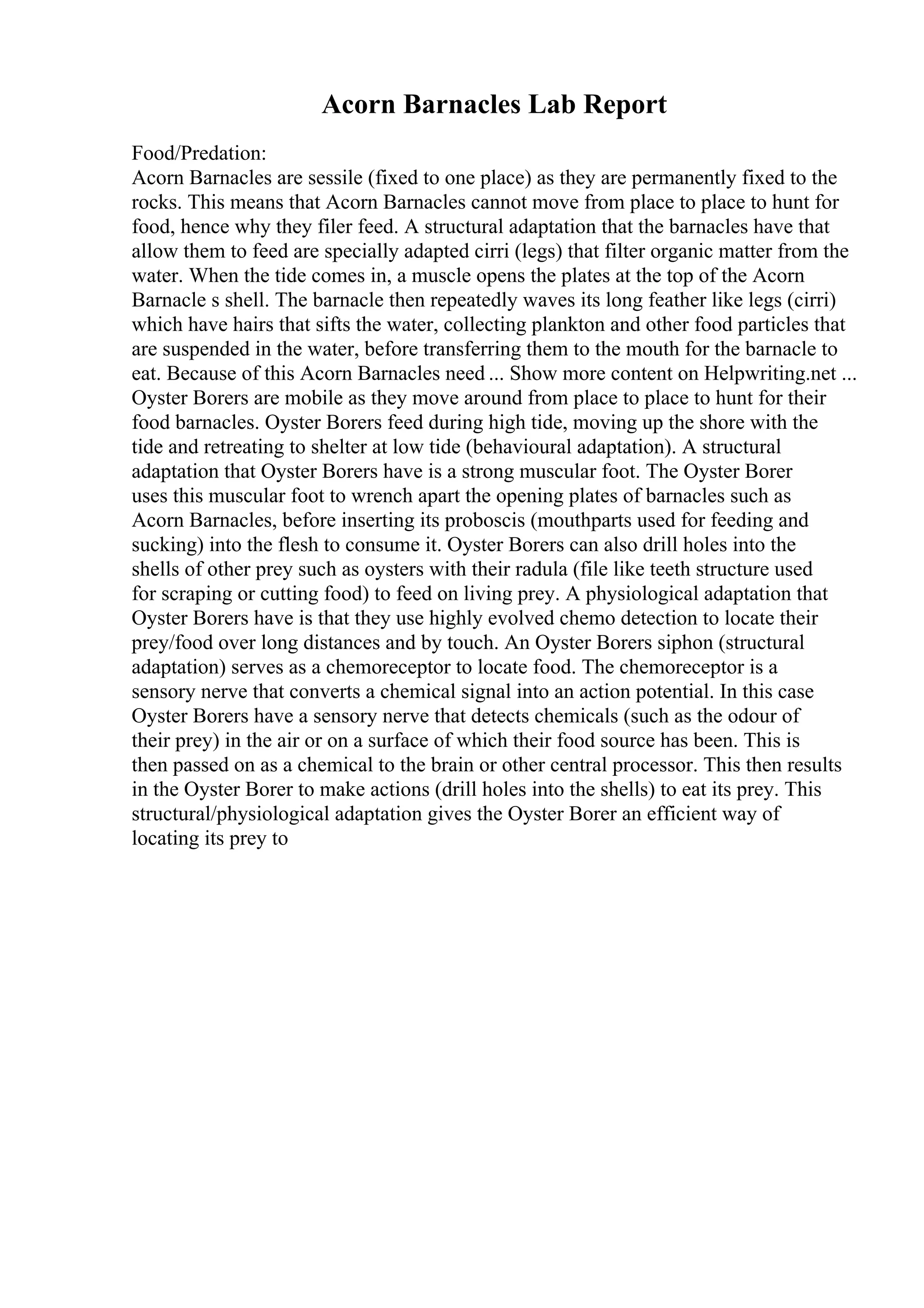 Acorn Barnacles Lab Report
Food/Predation:
Acorn Barnacles are sessile (fixed to one place) as they are permanently fixed to the
rocks. This means that Acorn Barnacles cannot move from place to place to hunt for
food, hence why they filer feed. A structural adaptation that the barnacles have that
allow them to feed are specially adapted cirri (legs) that filter organic matter from the
water. When the tide comes in, a muscle opens the plates at the top of the Acorn
Barnacle s shell. The barnacle then repeatedly waves its long feather like legs (cirri)
which have hairs that sifts the water, collecting plankton and other food particles that
are suspended in the water, before transferring them to the mouth for the barnacle to
eat. Because of this Acorn Barnacles need ... Show more content on Helpwriting.net ...
Oyster Borers are mobile as they move around from place to place to hunt for their
food barnacles. Oyster Borers feed during high tide, moving up the shore with the
tide and retreating to shelter at low tide (behavioural adaptation). A structural
adaptation that Oyster Borers have is a strong muscular foot. The Oyster Borer
uses this muscular foot to wrench apart the opening plates of barnacles such as
Acorn Barnacles, before inserting its proboscis (mouthparts used for feeding and
sucking) into the flesh to consume it. Oyster Borers can also drill holes into the
shells of other prey such as oysters with their radula (file like teeth structure used
for scraping or cutting food) to feed on living prey. A physiological adaptation that
Oyster Borers have is that they use highly evolved chemo detection to locate their
prey/food over long distances and by touch. An Oyster Borers siphon (structural
adaptation) serves as a chemoreceptor to locate food. The chemoreceptor is a
sensory nerve that converts a chemical signal into an action potential. In this case
Oyster Borers have a sensory nerve that detects chemicals (such as the odour of
their prey) in the air or on a surface of which their food source has been. This is
then passed on as a chemical to the brain or other central processor. This then results
in the Oyster Borer to make actions (drill holes into the shells) to eat its prey. This
structural/physiological adaptation gives the Oyster Borer an efficient way of
locating its prey to
 