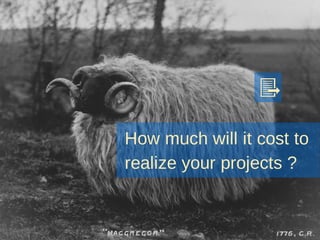 How  much  will  it  cost  to
realize  your  projects  ?
 