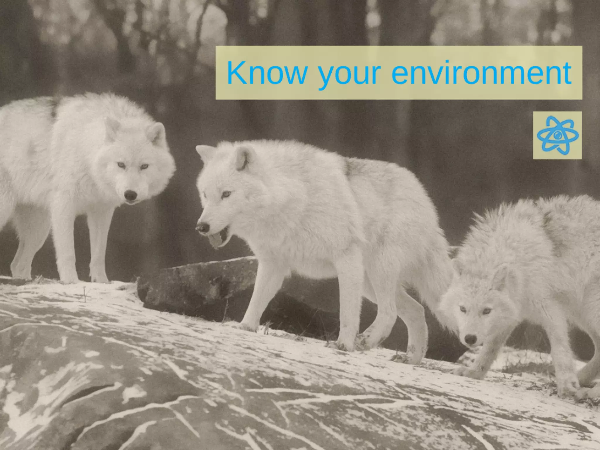 How to write a business plan 02