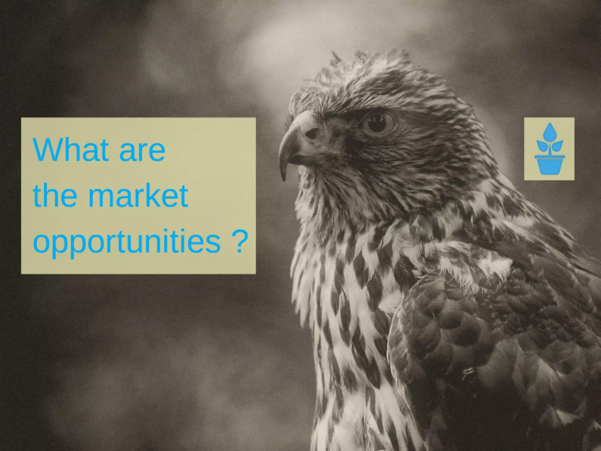 How to write a business plan 02