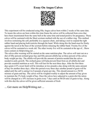 Essay On Angus Calves
This experiment will be conducted using fifty Angus calves born within 2 weeks of the same date.
To insure the calves are born within this time frame the calves will be collected from cows that
have been inseminated from the same bull at the same time and tested positive for pregnancy. These
calves will be castrated with the Short scrotum method with the use of a rubber ring. This method
involves restraining the calf, preferably in a squeeze chute, and taking a tool to expand the tight
rubber band and placing both testicles through the band. While doing this the band must be firmly
against the naval at the base of the scrotum before releasing the rubber band. Twenty five of the
calves will be castrated at a week old. The other twenty five will be castrated at the age of... Show
more content on Helpwriting.net ...
The calves after weening will be started on the same nutrition plan. The calves will start out on a
diet of fifty percent orchard grass hay and fifty percent alfalfa hay at three percent of the calves
body weight per day. The alfalfa will provide the amount of protein needed that the calves
needed in early growth. The orchard grass will help prevent bloat from an all alfalfa diet and
provide essential nutrition as well. This will last for the next three days. After the first three
days grain (12% sweet feed) will be introduce at two pounds a day along with the same amount
of hay for another three days. After this period every three days another pound of grain will be
added until the calf is eating 6 to 8 pounds of grain per day. This should amount to a 50/50
mixture of grain and hay. The calves will be weighed weekly to adjust the amount of hay given
to maintain the 3% body weight of hay. Once the calves have adjusted to a grain diet the ration
will be changed at a 10% increase in grain every 7 days until an 80/20 ratio of grain to hay. Along
with this diet the calves will be given sufficient amounts of fresh
... Get more on HelpWriting.net ...
 