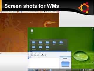 Screen shots for WMs


 