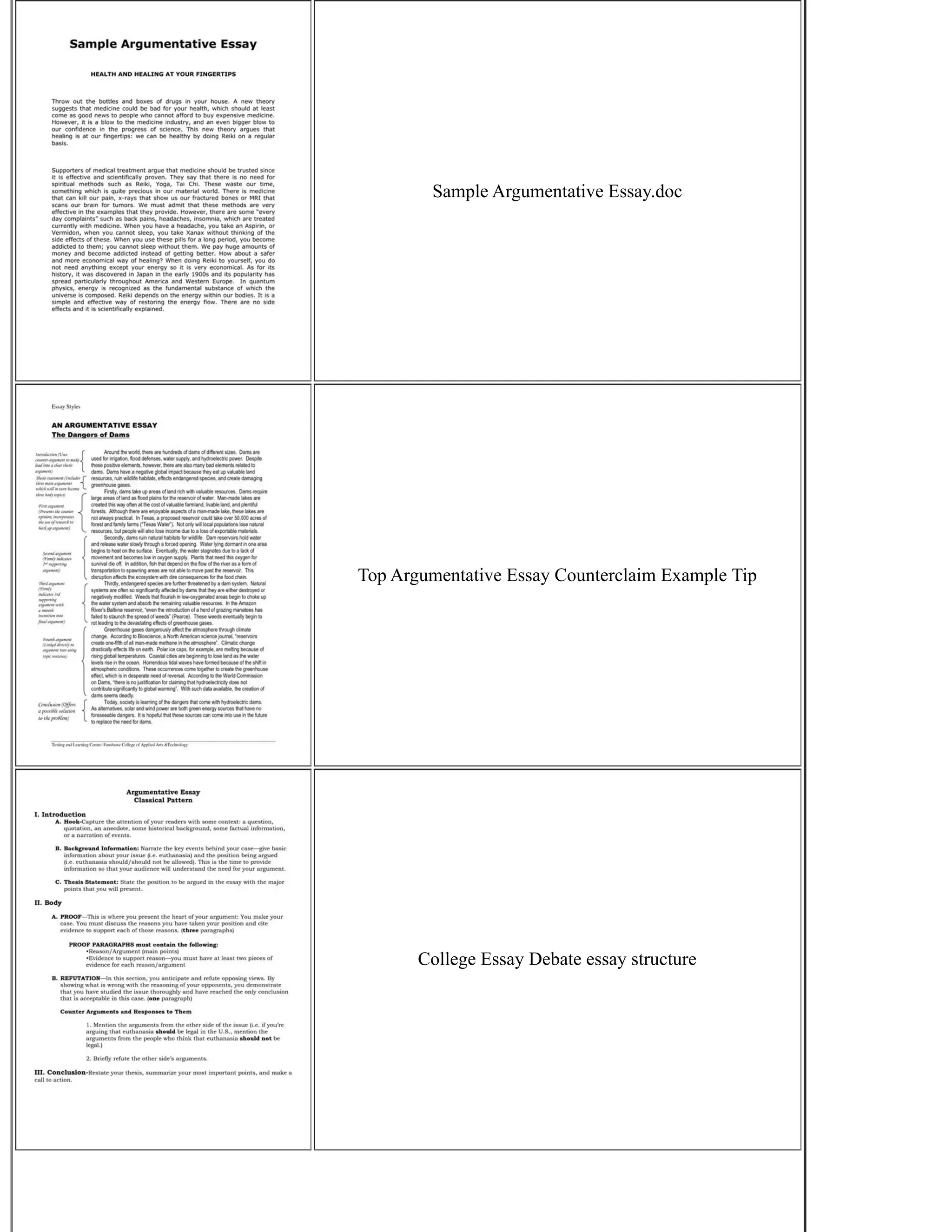 Sample Argumentative Essay.doc
Top Argumentative Essay Counterclaim Example Tip
College Essay Debate essay structure
 