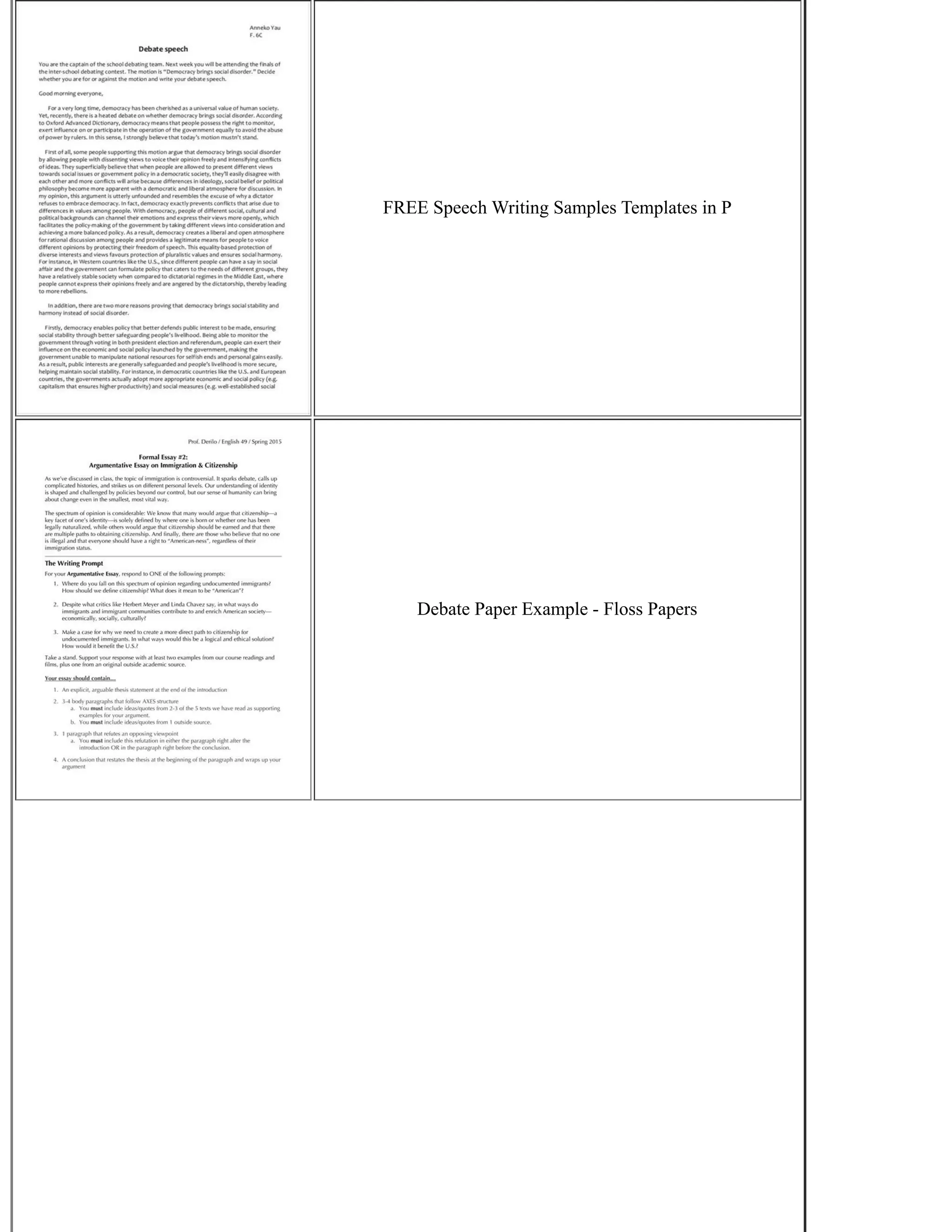 FREE Speech Writing Samples Templates in P
Debate Paper Example - Floss Papers
 