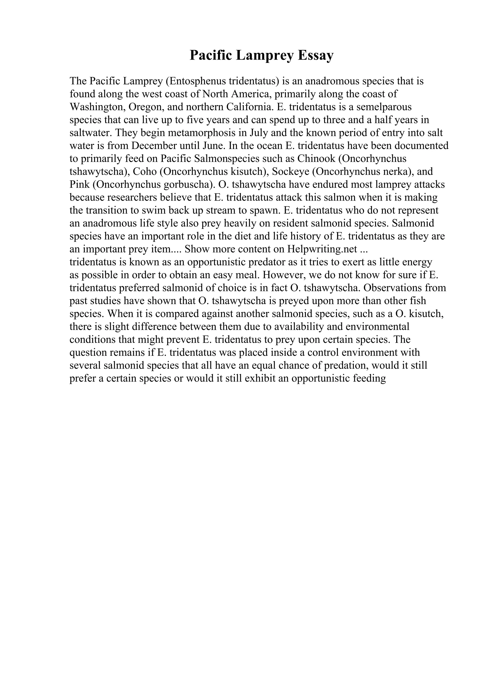 Pacific Lamprey Essay
The Pacific Lamprey (Entosphenus tridentatus) is an anadromous species that is
found along the west coast of North America, primarily along the coast of
Washington, Oregon, and northern California. E. tridentatus is a semelparous
species that can live up to five years and can spend up to three and a half years in
saltwater. They begin metamorphosis in July and the known period of entry into salt
water is from December until June. In the ocean E. tridentatus have been documented
to primarily feed on Pacific Salmonspecies such as Chinook (Oncorhynchus
tshawytscha), Coho (Oncorhynchus kisutch), Sockeye (Oncorhynchus nerka), and
Pink (Oncorhynchus gorbuscha). O. tshawytscha have endured most lamprey attacks
because researchers believe that E. tridentatus attack this salmon when it is making
the transition to swim back up stream to spawn. E. tridentatus who do not represent
an anadromous life style also prey heavily on resident salmonid species. Salmonid
species have an important role in the diet and life history of E. tridentatus as they are
an important prey item.... Show more content on Helpwriting.net ...
tridentatus is known as an opportunistic predator as it tries to exert as little energy
as possible in order to obtain an easy meal. However, we do not know for sure if E.
tridentatus preferred salmonid of choice is in fact O. tshawytscha. Observations from
past studies have shown that O. tshawytscha is preyed upon more than other fish
species. When it is compared against another salmonid species, such as a O. kisutch,
there is slight difference between them due to availability and environmental
conditions that might prevent E. tridentatus to prey upon certain species. The
question remains if E. tridentatus was placed inside a control environment with
several salmonid species that all have an equal chance of predation, would it still
prefer a certain species or would it still exhibit an opportunistic feeding
 