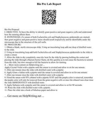 Bio Pre Lab Report
Bio Pre Proposal
I. OBJECTIVE: To have the ability to identify gram positive and gram negative cells and understand
how the staining affects them.
II. HYPOTHESIS: if a smear of both Escherichia coli and Staphylococcus epidermidis are stained,
then gram negative and gram positive stains should result respectively and be identifiable under the
microscope due to the structure of the cell walls.
III. PROCEDURE:
1. Obtain a blank, sterile microscope slide. Using an inoculating loop add one drop of distilled water
to the slide.
2. Using an inoculating loop add both Escherichia coli and Staphylococcus epidermidis to the slide to
create a smear.
3. Allow the slide to dry completely, once dry heat fix the slide by passing holding the corner and
passing the slide through a Bunsen burner flame, do this quickly as to not cause the bacteria to unstick
from the slide, but slow enough to kill the bacteria to allow for staining.
4. ... Show more content on Helpwriting.net ...
Apply Crystal Violet with a pipette until the smear is covered and allow to sit for one minute.
5. After one minute rinse the slide with distilled water with a pipette.
6. Apply Gram s Iodine with a pipette until the smear is covered and allow to sit for one minute.
7. After one minute rinse the slide with distilled water with a pipette.
8. Flood the smear with 95% ethanol with a pipette JUST until the purple color is removed, remember
the purple color will only be removed from the gram negative cells so once the ethanol runs clear rinse
the slide IMMEDIATELY with distilled water.
9. Apply Safranin with a pipette until the smear is covered and allow to sit for 90 seconds.
10. Rinse the slide with distilled water with a pipette.
11. Place the slide into a book of bibulous paper and allow to
... Get more on HelpWriting.net ...
 