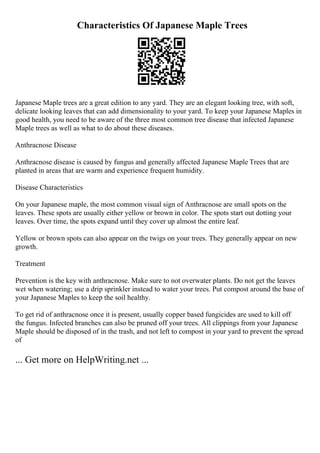 Characteristics Of Japanese Maple Trees
Japanese Maple trees are a great edition to any yard. They are an elegant looking tree, with soft,
delicate looking leaves that can add dimensionality to your yard. To keep your Japanese Maples in
good health, you need to be aware of the three most common tree disease that infected Japanese
Maple trees as well as what to do about these diseases.
Anthracnose Disease
Anthracnose disease is caused by fungus and generally affected Japanese Maple Trees that are
planted in areas that are warm and experience frequent humidity.
Disease Characteristics
On your Japanese maple, the most common visual sign of Anthracnose are small spots on the
leaves. These spots are usually either yellow or brown in color. The spots start out dotting your
leaves. Over time, the spots expand until they cover up almost the entire leaf.
Yellow or brown spots can also appear on the twigs on your trees. They generally appear on new
growth.
Treatment
Prevention is the key with anthracnose. Make sure to not overwater plants. Do not get the leaves
wet when watering; use a drip sprinkler instead to water your trees. Put compost around the base of
your Japanese Maples to keep the soil healthy.
To get rid of anthracnose once it is present, usually copper based fungicides are used to kill off
the fungus. Infected branches can also be pruned off your trees. All clippings from your Japanese
Maple should be disposed of in the trash, and not left to compost in your yard to prevent the spread
of
... Get more on HelpWriting.net ...
 