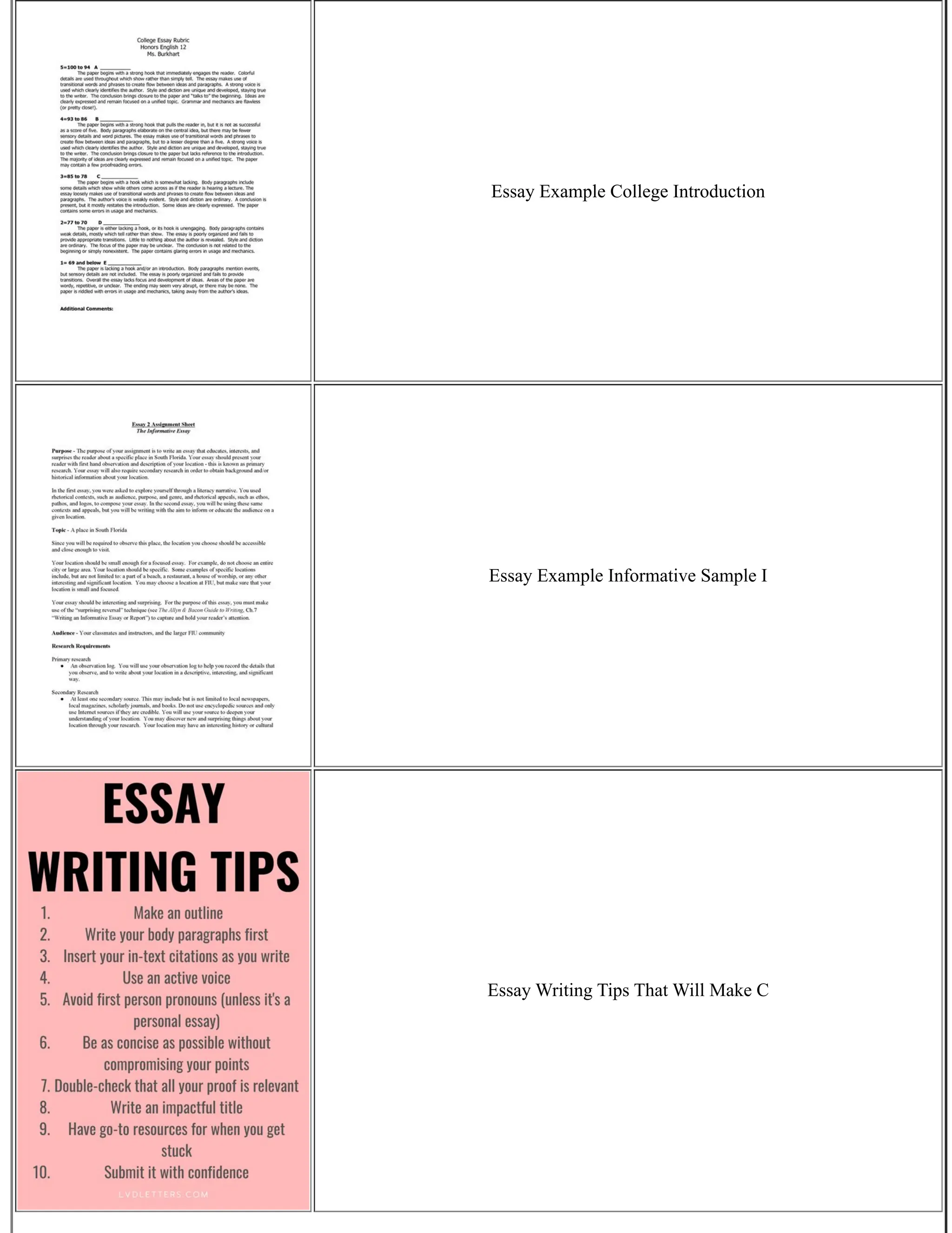 Essay Example College Introduction
Essay Example Informative Sample I
Essay Writing Tips That Will Make C
 