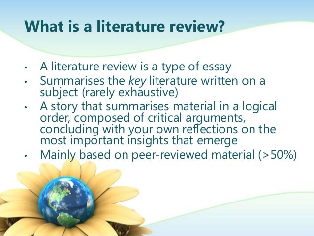 Essay on literature review