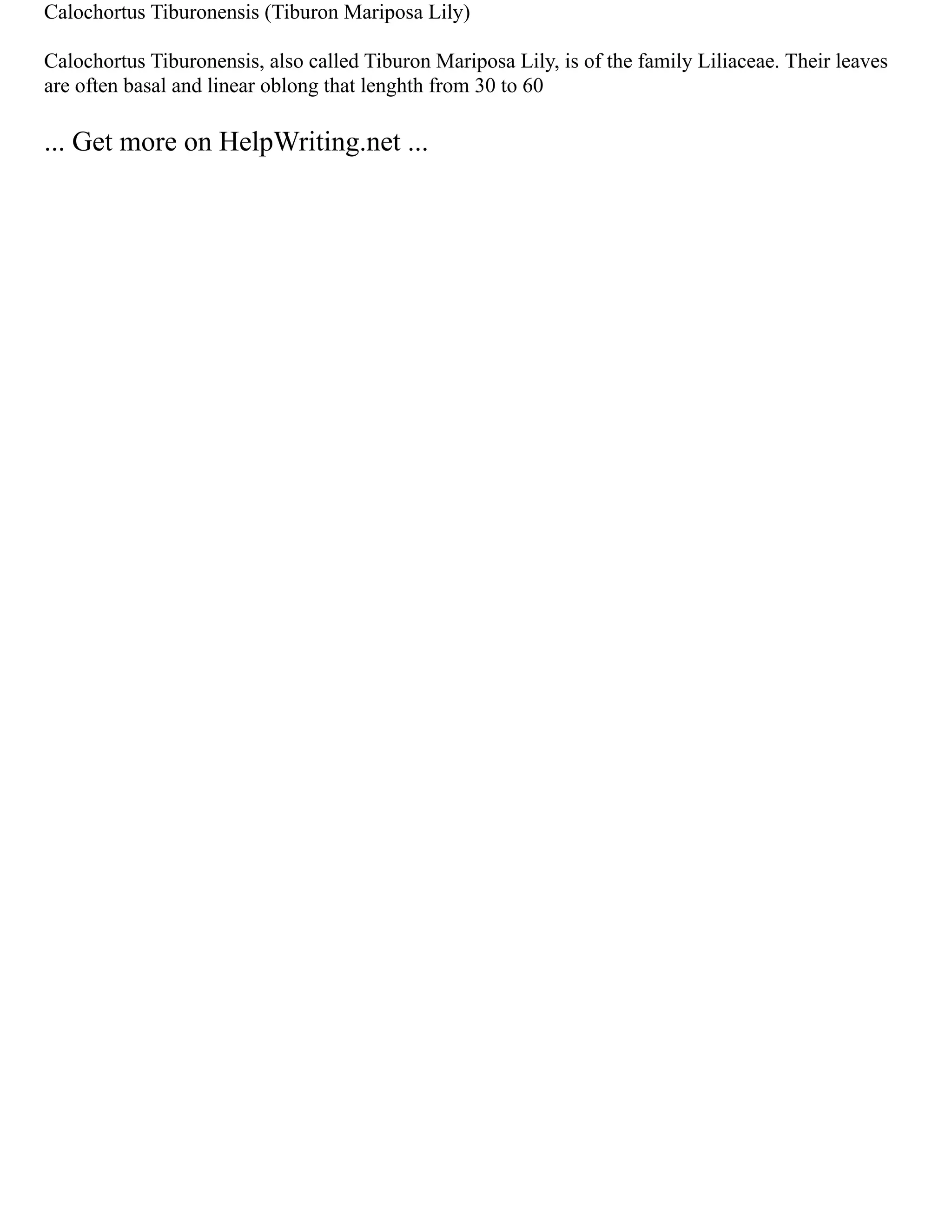 Calochortus Tiburonensis (Tiburon Mariposa Lily)
Calochortus Tiburonensis, also called Tiburon Mariposa Lily, is of the family Liliaceae. Their leaves
are often basal and linear oblong that lenghth from 30 to 60
... Get more on HelpWriting.net ...
 