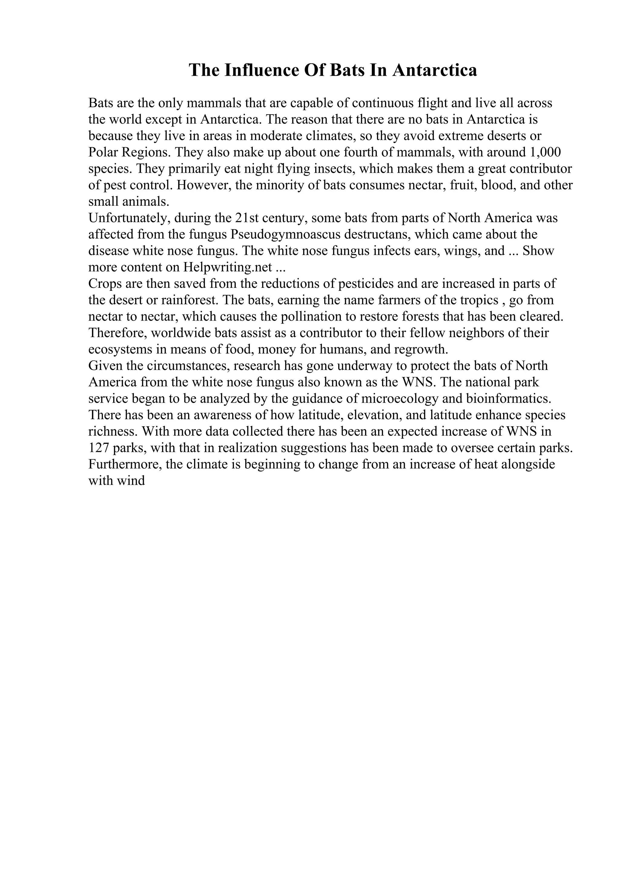 The Influence Of Bats In Antarctica
Bats are the only mammals that are capable of continuous flight and live all across
the world except in Antarctica. The reason that there are no bats in Antarctica is
because they live in areas in moderate climates, so they avoid extreme deserts or
Polar Regions. They also make up about one fourth of mammals, with around 1,000
species. They primarily eat night flying insects, which makes them a great contributor
of pest control. However, the minority of bats consumes nectar, fruit, blood, and other
small animals.
Unfortunately, during the 21st century, some bats from parts of North America was
affected from the fungus Pseudogymnoascus destructans, which came about the
disease white nose fungus. The white nose fungus infects ears, wings, and ... Show
more content on Helpwriting.net ...
Crops are then saved from the reductions of pesticides and are increased in parts of
the desert or rainforest. The bats, earning the name farmers of the tropics , go from
nectar to nectar, which causes the pollination to restore forests that has been cleared.
Therefore, worldwide bats assist as a contributor to their fellow neighbors of their
ecosystems in means of food, money for humans, and regrowth.
Given the circumstances, research has gone underway to protect the bats of North
America from the white nose fungus also known as the WNS. The national park
service began to be analyzed by the guidance of microecology and bioinformatics.
There has been an awareness of how latitude, elevation, and latitude enhance species
richness. With more data collected there has been an expected increase of WNS in
127 parks, with that in realization suggestions has been made to oversee certain parks.
Furthermore, the climate is beginning to change from an increase of heat alongside
with wind
 