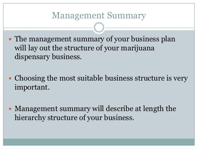 Sample business structure business plan