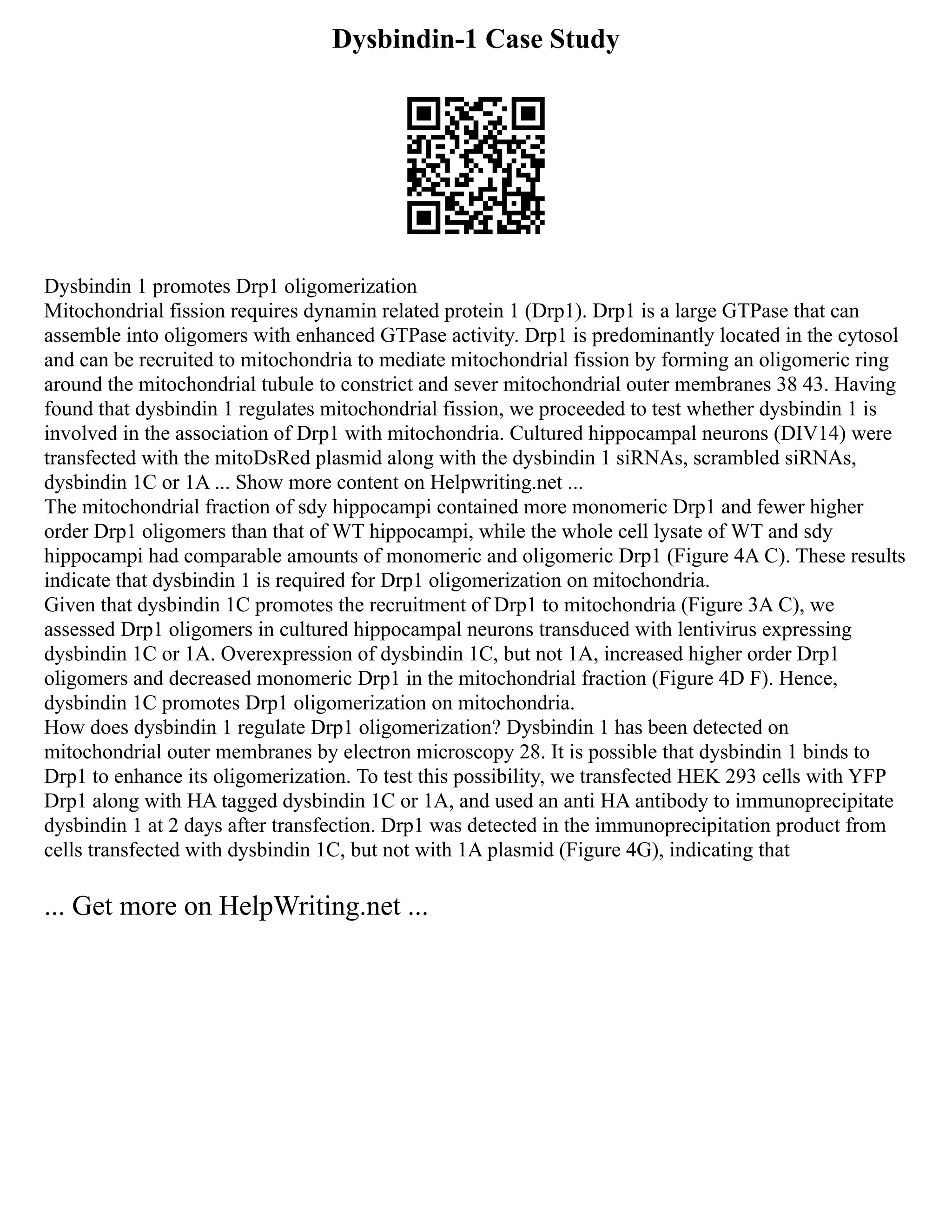 Dysbindin-1 Case Study
Dysbindin 1 promotes Drp1 oligomerization
Mitochondrial fission requires dynamin related protein 1 (Drp1). Drp1 is a large GTPase that can
assemble into oligomers with enhanced GTPase activity. Drp1 is predominantly located in the cytosol
and can be recruited to mitochondria to mediate mitochondrial fission by forming an oligomeric ring
around the mitochondrial tubule to constrict and sever mitochondrial outer membranes 38 43. Having
found that dysbindin 1 regulates mitochondrial fission, we proceeded to test whether dysbindin 1 is
involved in the association of Drp1 with mitochondria. Cultured hippocampal neurons (DIV14) were
transfected with the mitoDsRed plasmid along with the dysbindin 1 siRNAs, scrambled siRNAs,
dysbindin 1C or 1A ... Show more content on Helpwriting.net ...
The mitochondrial fraction of sdy hippocampi contained more monomeric Drp1 and fewer higher
order Drp1 oligomers than that of WT hippocampi, while the whole cell lysate of WT and sdy
hippocampi had comparable amounts of monomeric and oligomeric Drp1 (Figure 4A C). These results
indicate that dysbindin 1 is required for Drp1 oligomerization on mitochondria.
Given that dysbindin 1C promotes the recruitment of Drp1 to mitochondria (Figure 3A C), we
assessed Drp1 oligomers in cultured hippocampal neurons transduced with lentivirus expressing
dysbindin 1C or 1A. Overexpression of dysbindin 1C, but not 1A, increased higher order Drp1
oligomers and decreased monomeric Drp1 in the mitochondrial fraction (Figure 4D F). Hence,
dysbindin 1C promotes Drp1 oligomerization on mitochondria.
How does dysbindin 1 regulate Drp1 oligomerization? Dysbindin 1 has been detected on
mitochondrial outer membranes by electron microscopy 28. It is possible that dysbindin 1 binds to
Drp1 to enhance its oligomerization. To test this possibility, we transfected HEK 293 cells with YFP
Drp1 along with HA tagged dysbindin 1C or 1A, and used an anti HA antibody to immunoprecipitate
dysbindin 1 at 2 days after transfection. Drp1 was detected in the immunoprecipitation product from
cells transfected with dysbindin 1C, but not with 1A plasmid (Figure 4G), indicating that
... Get more on HelpWriting.net ...
 