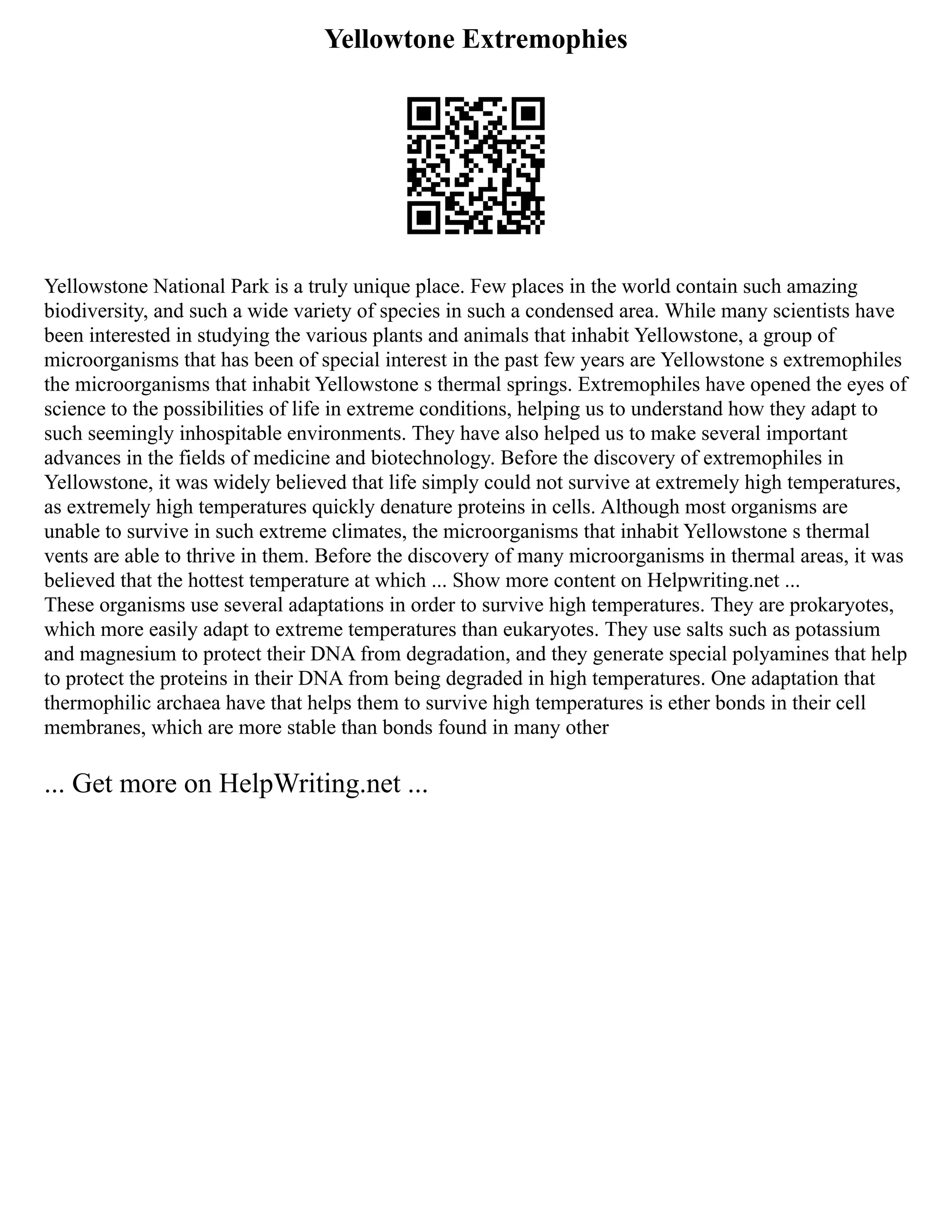 Yellowtone Extremophies
Yellowstone National Park is a truly unique place. Few places in the world contain such amazing
biodiversity, and such a wide variety of species in such a condensed area. While many scientists have
been interested in studying the various plants and animals that inhabit Yellowstone, a group of
microorganisms that has been of special interest in the past few years are Yellowstone s extremophiles
the microorganisms that inhabit Yellowstone s thermal springs. Extremophiles have opened the eyes of
science to the possibilities of life in extreme conditions, helping us to understand how they adapt to
such seemingly inhospitable environments. They have also helped us to make several important
advances in the fields of medicine and biotechnology. Before the discovery of extremophiles in
Yellowstone, it was widely believed that life simply could not survive at extremely high temperatures,
as extremely high temperatures quickly denature proteins in cells. Although most organisms are
unable to survive in such extreme climates, the microorganisms that inhabit Yellowstone s thermal
vents are able to thrive in them. Before the discovery of many microorganisms in thermal areas, it was
believed that the hottest temperature at which ... Show more content on Helpwriting.net ...
These organisms use several adaptations in order to survive high temperatures. They are prokaryotes,
which more easily adapt to extreme temperatures than eukaryotes. They use salts such as potassium
and magnesium to protect their DNA from degradation, and they generate special polyamines that help
to protect the proteins in their DNA from being degraded in high temperatures. One adaptation that
thermophilic archaea have that helps them to survive high temperatures is ether bonds in their cell
membranes, which are more stable than bonds found in many other
... Get more on HelpWriting.net ...
 