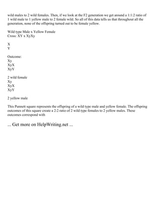 wild males to 2 wild females. Then, if we look at the F2 generation we get around a 1:1:2 ratio of
1 wild male to 1 yellow male to 2 female wild. So all of this data tells us that throughout all the
generation, none of the offspring turned out to be female yellow.
Wild type Male x Yellow Female
Cross: XY x XyXy
X
Y
Outcome:
Xy
XyX
XyY
2 wild female
Xy
XyX
XyY
2 yellow male
This Punnett square represents the offspring of a wild type male and yellow female. The offspring
outcomes of this square create a 2:2 ratio of 2 wild type females to 2 yellow males. These
outcomes correspond with
... Get more on HelpWriting.net ...
 