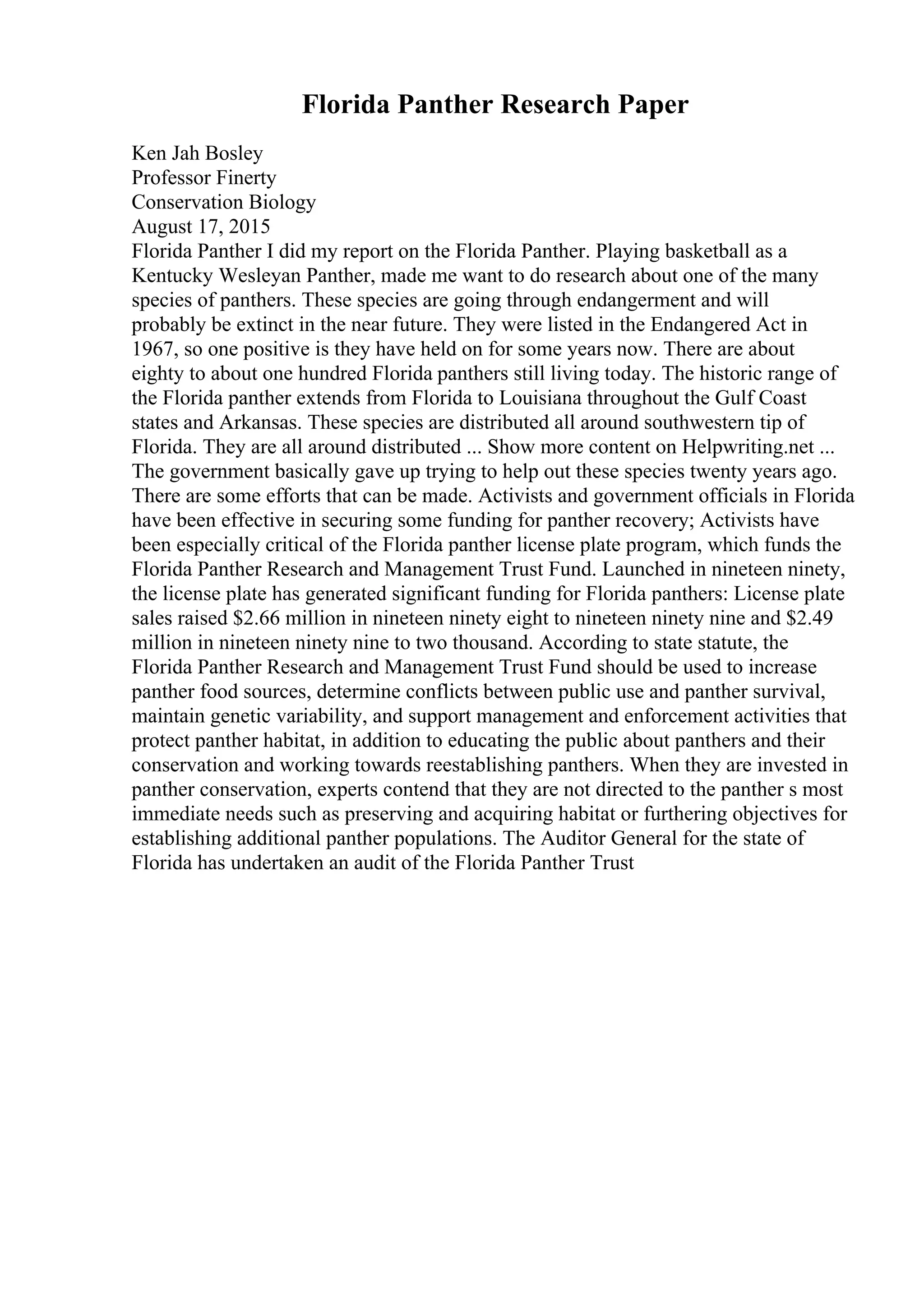 Florida Panther Research Paper
Ken Jah Bosley
Professor Finerty
Conservation Biology
August 17, 2015
Florida Panther I did my report on the Florida Panther. Playing basketball as a
Kentucky Wesleyan Panther, made me want to do research about one of the many
species of panthers. These species are going through endangerment and will
probably be extinct in the near future. They were listed in the Endangered Act in
1967, so one positive is they have held on for some years now. There are about
eighty to about one hundred Florida panthers still living today. The historic range of
the Florida panther extends from Florida to Louisiana throughout the Gulf Coast
states and Arkansas. These species are distributed all around southwestern tip of
Florida. They are all around distributed ... Show more content on Helpwriting.net ...
The government basically gave up trying to help out these species twenty years ago.
There are some efforts that can be made. Activists and government officials in Florida
have been effective in securing some funding for panther recovery; Activists have
been especially critical of the Florida panther license plate program, which funds the
Florida Panther Research and Management Trust Fund. Launched in nineteen ninety,
the license plate has generated significant funding for Florida panthers: License plate
sales raised $2.66 million in nineteen ninety eight to nineteen ninety nine and $2.49
million in nineteen ninety nine to two thousand. According to state statute, the
Florida Panther Research and Management Trust Fund should be used to increase
panther food sources, determine conflicts between public use and panther survival,
maintain genetic variability, and support management and enforcement activities that
protect panther habitat, in addition to educating the public about panthers and their
conservation and working towards reestablishing panthers. When they are invested in
panther conservation, experts contend that they are not directed to the panther s most
immediate needs such as preserving and acquiring habitat or furthering objectives for
establishing additional panther populations. The Auditor General for the state of
Florida has undertaken an audit of the Florida Panther Trust
 