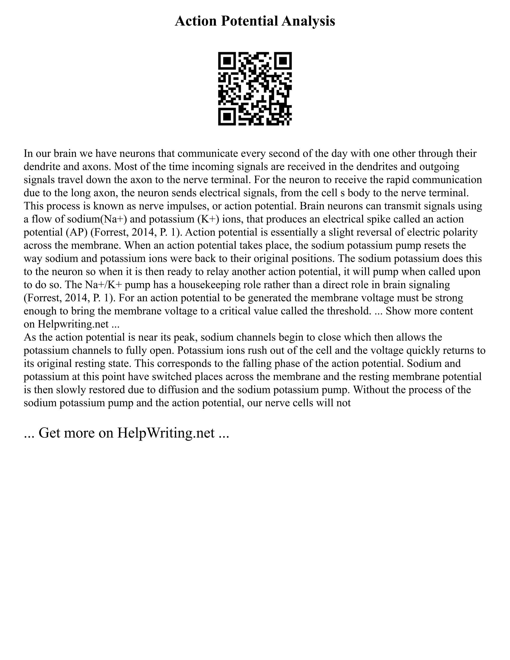 Action Potential Analysis
In our brain we have neurons that communicate every second of the day with one other through their
dendrite and axons. Most of the time incoming signals are received in the dendrites and outgoing
signals travel down the axon to the nerve terminal. For the neuron to receive the rapid communication
due to the long axon, the neuron sends electrical signals, from the cell s body to the nerve terminal.
This process is known as nerve impulses, or action potential. Brain neurons can transmit signals using
a flow of sodium(Na+) and potassium (K+) ions, that produces an electrical spike called an action
potential (AP) (Forrest, 2014, P. 1). Action potential is essentially a slight reversal of electric polarity
across the membrane. When an action potential takes place, the sodium potassium pump resets the
way sodium and potassium ions were back to their original positions. The sodium potassium does this
to the neuron so when it is then ready to relay another action potential, it will pump when called upon
to do so. The Na+/K+ pump has a housekeeping role rather than a direct role in brain signaling
(Forrest, 2014, P. 1). For an action potential to be generated the membrane voltage must be strong
enough to bring the membrane voltage to a critical value called the threshold. ... Show more content
on Helpwriting.net ...
As the action potential is near its peak, sodium channels begin to close which then allows the
potassium channels to fully open. Potassium ions rush out of the cell and the voltage quickly returns to
its original resting state. This corresponds to the falling phase of the action potential. Sodium and
potassium at this point have switched places across the membrane and the resting membrane potential
is then slowly restored due to diffusion and the sodium potassium pump. Without the process of the
sodium potassium pump and the action potential, our nerve cells will not
... Get more on HelpWriting.net ...
 
