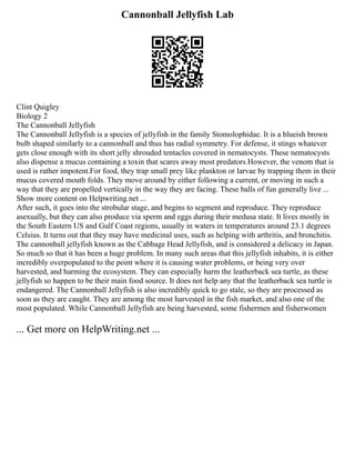 Cannonball Jellyfish Lab
Clint Quigley
Biology 2
The Cannonball Jellyfish
The Cannonball Jellyfish is a species of jellyfish in the family Stomolophidae. It is a blueish brown
bulb shaped similarly to a cannonball and thus has radial symmetry. For defense, it stings whatever
gets close enough with its short jelly shrouded tentacles covered in nematocysts. These nematocysts
also dispense a mucus containing a toxin that scares away most predators.However, the venom that is
used is rather impotent.For food, they trap small prey like plankton or larvae by trapping them in their
mucus covered mouth folds. They move around by either following a current, or moving in such a
way that they are propelled vertically in the way they are facing. These balls of fun generally live ...
Show more content on Helpwriting.net ...
After such, it goes into the strobular stage, and begins to segment and reproduce. They reproduce
asexually, but they can also produce via sperm and eggs during their medusa state. It lives mostly in
the South Eastern US and Gulf Coast regions, usually in waters in temperatures around 23.1 degrees
Celsius. It turns out that they may have medicinal uses, such as helping with arthritis, and bronchitis.
The cannonball jellyfish known as the Cabbage Head Jellyfish, and is considered a delicacy in Japan.
So much so that it has been a huge problem. In many such areas that this jellyfish inhabits, it is either
incredibly overpopulated to the point where it is causing water problems, or being very over
harvested, and harming the ecosystem. They can especially harm the leatherback sea turtle, as these
jellyfish so happen to be their main food source. It does not help any that the leatherback sea turtle is
endangered. The Cannonball Jellyfish is also incredibly quick to go stale, so they are processed as
soon as they are caught. They are among the most harvested in the fish market, and also one of the
most populated. While Cannonball Jellyfish are being harvested, some fishermen and fisherwomen
... Get more on HelpWriting.net ...
 