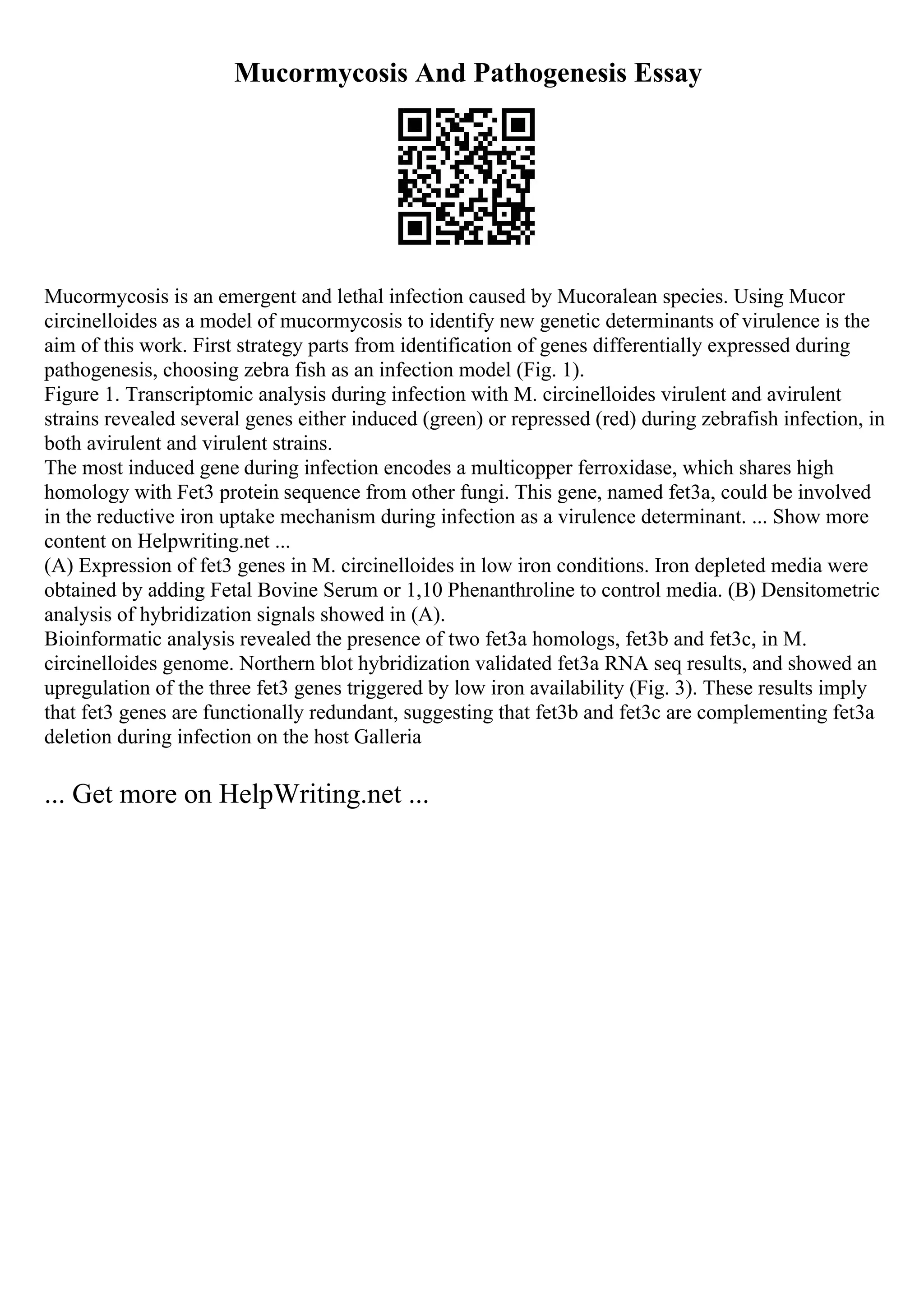 Mucormycosis And Pathogenesis Essay
Mucormycosis is an emergent and lethal infection caused by Mucoralean species. Using Mucor
circinelloides as a model of mucormycosis to identify new genetic determinants of virulence is the
aim of this work. First strategy parts from identification of genes differentially expressed during
pathogenesis, choosing zebra fish as an infection model (Fig. 1).
Figure 1. Transcriptomic analysis during infection with M. circinelloides virulent and avirulent
strains revealed several genes either induced (green) or repressed (red) during zebrafish infection, in
both avirulent and virulent strains.
The most induced gene during infection encodes a multicopper ferroxidase, which shares high
homology with Fet3 protein sequence from other fungi. This gene, named fet3a, could be involved
in the reductive iron uptake mechanism during infection as a virulence determinant. ... Show more
content on Helpwriting.net ...
(A) Expression of fet3 genes in M. circinelloides in low iron conditions. Iron depleted media were
obtained by adding Fetal Bovine Serum or 1,10 Phenanthroline to control media. (B) Densitometric
analysis of hybridization signals showed in (A).
Bioinformatic analysis revealed the presence of two fet3a homologs, fet3b and fet3c, in M.
circinelloides genome. Northern blot hybridization validated fet3a RNA seq results, and showed an
upregulation of the three fet3 genes triggered by low iron availability (Fig. 3). These results imply
that fet3 genes are functionally redundant, suggesting that fet3b and fet3c are complementing fet3a
deletion during infection on the host Galleria
... Get more on HelpWriting.net ...
 