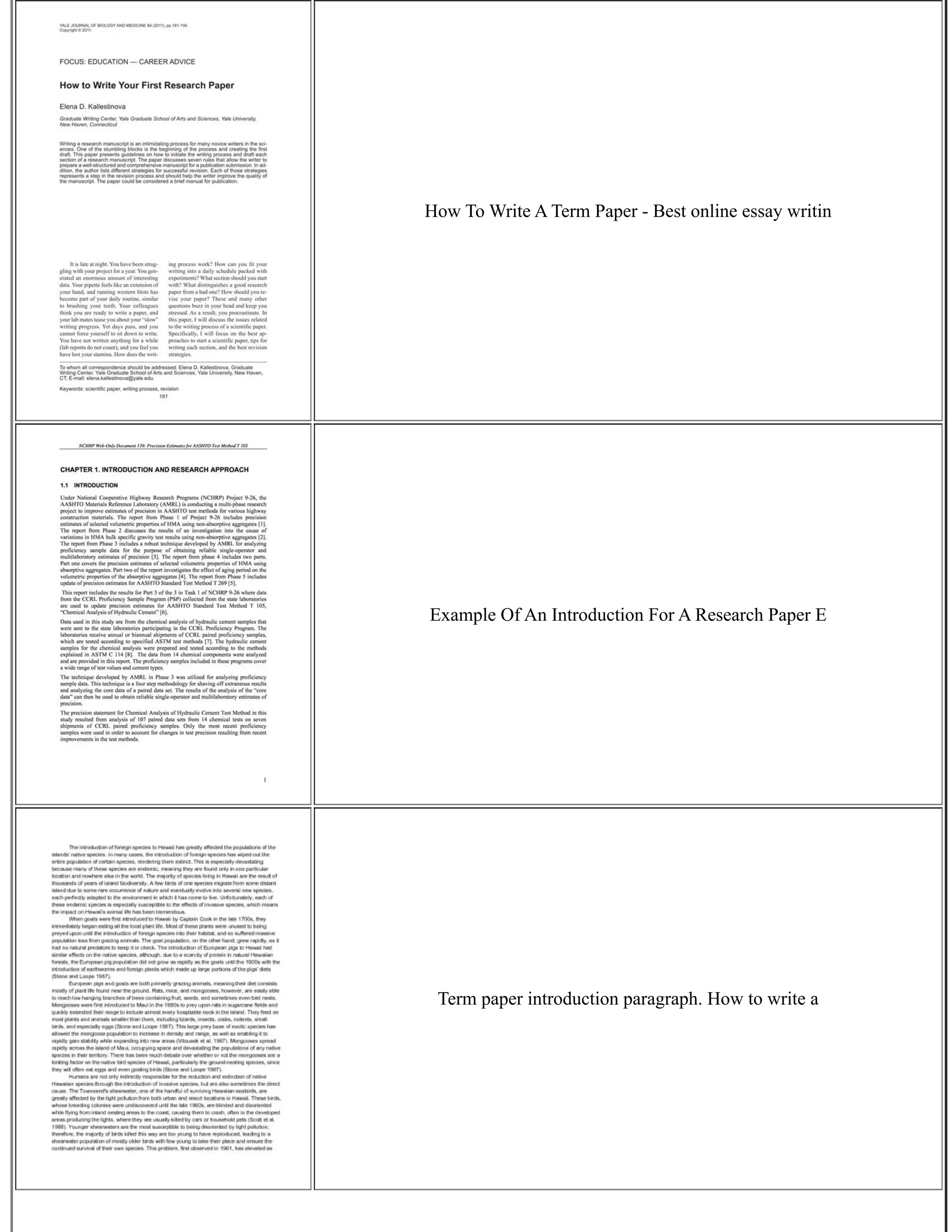 How To Write A Term Paper - Best online essay writin
Example Of An Introduction For A Research Paper E
Term paper introduction paragraph. How to write a
 