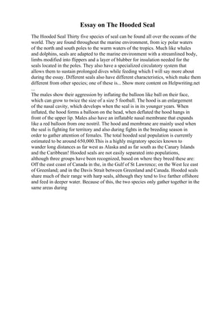 Essay on The Hooded Seal
The Hooded Seal Thirty five species of seal can be found all over the oceans of the
world. They are found throughout the marine environment, from icy polar waters
of the north and south poles to the warm waters of the tropics. Much like whales
and dolphins, seals are adapted to the marine environment with a streamlined body,
limbs modified into flippers and a layer of blubber for insulation needed for the
seals located in the poles. They also have a specialized circulatory system that
allows them to sustain prolonged dives while feeding which I will say more about
during the essay. Different seals also have different characteristics, which make them
different from other species; one of these is... Show more content on Helpwriting.net
...
The males show their aggression by inflating the balloon like ball on their face,
which can grow to twice the size of a size 5 football. The hood is an enlargement
of the nasal cavity, which develops when the seal is in its younger years. When
inflated, the hood forms a balloon on the head, when deflated the hood hangs in
front of the upper lip. Males also have an inflatable nasal membrane that expands
like a red balloon from one nostril. The hood and membrane are mainly used when
the seal is fighting for territory and also during fights in the breeding season in
order to gather attention of females. The total hooded seal population is currently
estimated to be around 650,000.This is a highly migratory species known to
wander long distances as far west as Alaska and as far south as the Canary Islands
and the Caribbean! Hooded seals are not easily separated into populations,
although three groups have been recognized, based on where they breed these are:
Off the east coast of Canada in the, in the Gulf of St Lawrence; on the West Ice east
of Greenland; and in the Davis Strait between Greenland and Canada. Hooded seals
share much of their range with harp seals, although they tend to live farther offshore
and feed in deeper water. Because of this, the two species only gather together in the
same areas during
 