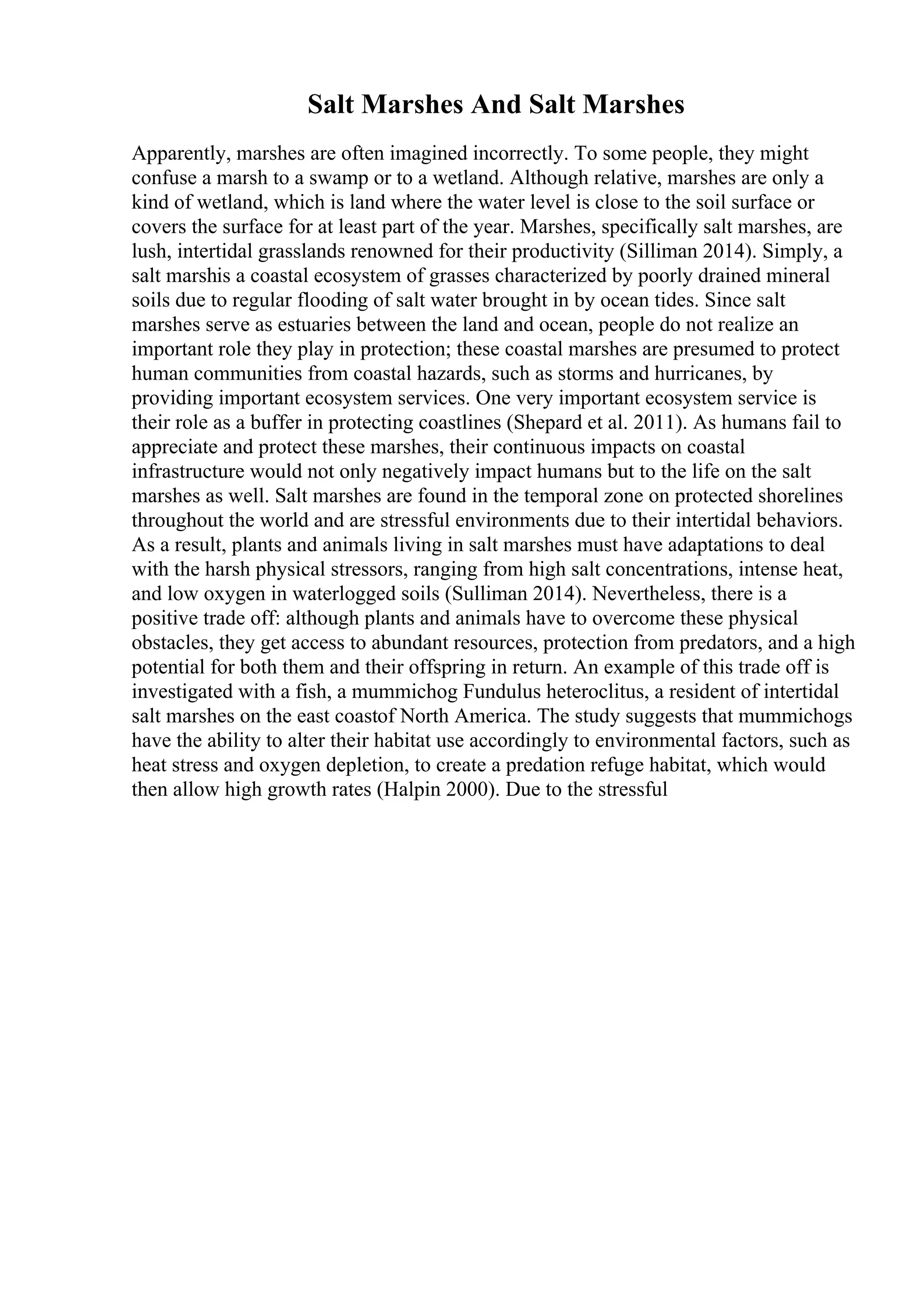 Salt Marshes And Salt Marshes
Apparently, marshes are often imagined incorrectly. To some people, they might
confuse a marsh to a swamp or to a wetland. Although relative, marshes are only a
kind of wetland, which is land where the water level is close to the soil surface or
covers the surface for at least part of the year. Marshes, specifically salt marshes, are
lush, intertidal grasslands renowned for their productivity (Silliman 2014). Simply, a
salt marshis a coastal ecosystem of grasses characterized by poorly drained mineral
soils due to regular flooding of salt water brought in by ocean tides. Since salt
marshes serve as estuaries between the land and ocean, people do not realize an
important role they play in protection; these coastal marshes are presumed to protect
human communities from coastal hazards, such as storms and hurricanes, by
providing important ecosystem services. One very important ecosystem service is
their role as a buffer in protecting coastlines (Shepard et al. 2011). As humans fail to
appreciate and protect these marshes, their continuous impacts on coastal
infrastructure would not only negatively impact humans but to the life on the salt
marshes as well. Salt marshes are found in the temporal zone on protected shorelines
throughout the world and are stressful environments due to their intertidal behaviors.
As a result, plants and animals living in salt marshes must have adaptations to deal
with the harsh physical stressors, ranging from high salt concentrations, intense heat,
and low oxygen in waterlogged soils (Sulliman 2014). Nevertheless, there is a
positive trade off: although plants and animals have to overcome these physical
obstacles, they get access to abundant resources, protection from predators, and a high
potential for both them and their offspring in return. An example of this trade off is
investigated with a fish, a mummichog Fundulus heteroclitus, a resident of intertidal
salt marshes on the east coastof North America. The study suggests that mummichogs
have the ability to alter their habitat use accordingly to environmental factors, such as
heat stress and oxygen depletion, to create a predation refuge habitat, which would
then allow high growth rates (Halpin 2000). Due to the stressful
 