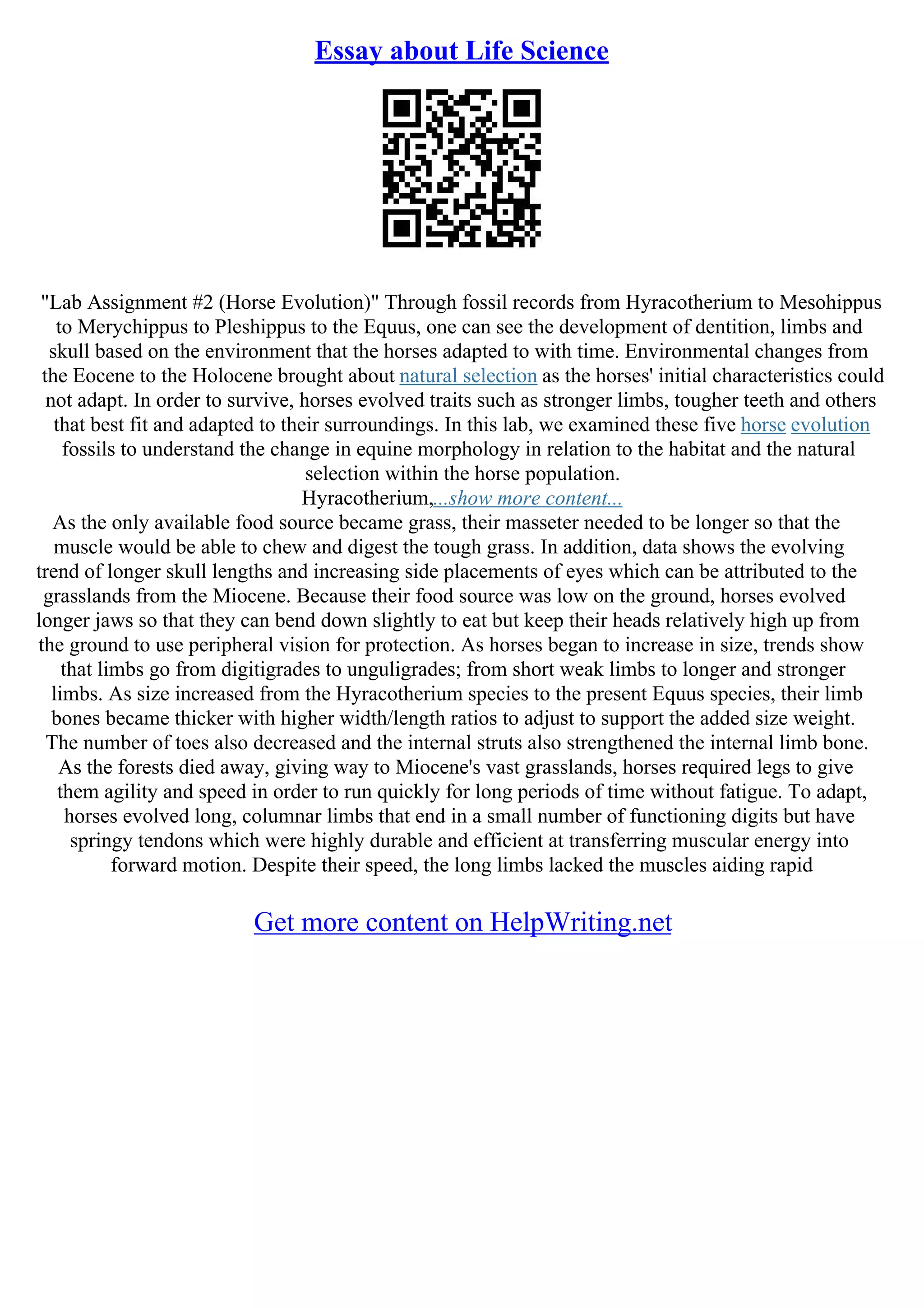 Essay about Life Science
"Lab Assignment #2 (Horse Evolution)" Through fossil records from Hyracotherium to Mesohippus
to Merychippus to Pleshippus to the Equus, one can see the development of dentition, limbs and
skull based on the environment that the horses adapted to with time. Environmental changes from
the Eocene to the Holocene brought about natural selection as the horses' initial characteristics could
not adapt. In order to survive, horses evolved traits such as stronger limbs, tougher teeth and others
that best fit and adapted to their surroundings. In this lab, we examined these five horse evolution
fossils to understand the change in equine morphology in relation to the habitat and the natural
selection within the horse population.
Hyracotherium,...show more content...
As the only available food source became grass, their masseter needed to be longer so that the
muscle would be able to chew and digest the tough grass. In addition, data shows the evolving
trend of longer skull lengths and increasing side placements of eyes which can be attributed to the
grasslands from the Miocene. Because their food source was low on the ground, horses evolved
longer jaws so that they can bend down slightly to eat but keep their heads relatively high up from
the ground to use peripheral vision for protection. As horses began to increase in size, trends show
that limbs go from digitigrades to unguligrades; from short weak limbs to longer and stronger
limbs. As size increased from the Hyracotherium species to the present Equus species, their limb
bones became thicker with higher width/length ratios to adjust to support the added size weight.
The number of toes also decreased and the internal struts also strengthened the internal limb bone.
As the forests died away, giving way to Miocene's vast grasslands, horses required legs to give
them agility and speed in order to run quickly for long periods of time without fatigue. To adapt,
horses evolved long, columnar limbs that end in a small number of functioning digits but have
springy tendons which were highly durable and efficient at transferring muscular energy into
forward motion. Despite their speed, the long limbs lacked the muscles aiding rapid
Get more content on HelpWriting.net
 
