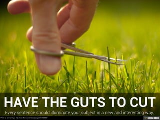 Photo by Jeremy Page - http://www.flickr.com/photos/jezpage/3412068580/
 