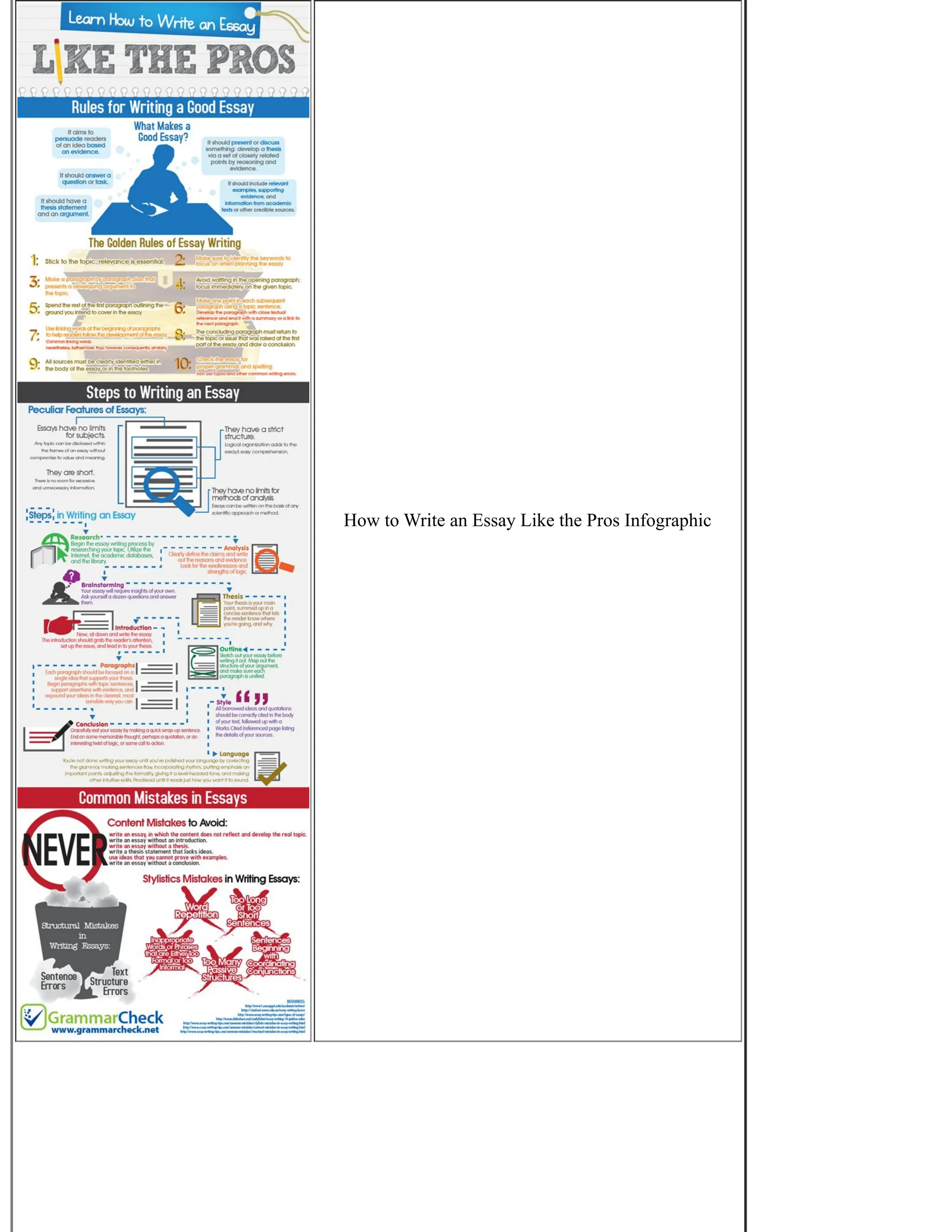How to Write an Essay Like the Pros Infographic