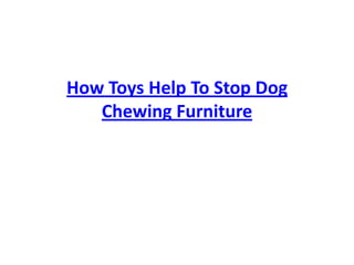 How Toys Help To Stop Dog Chewing Furniture 