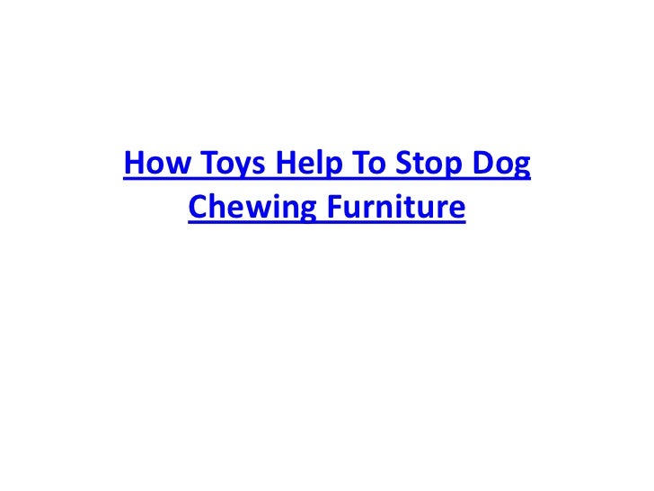How Toys Help To Stop Dog Chewing Furniture